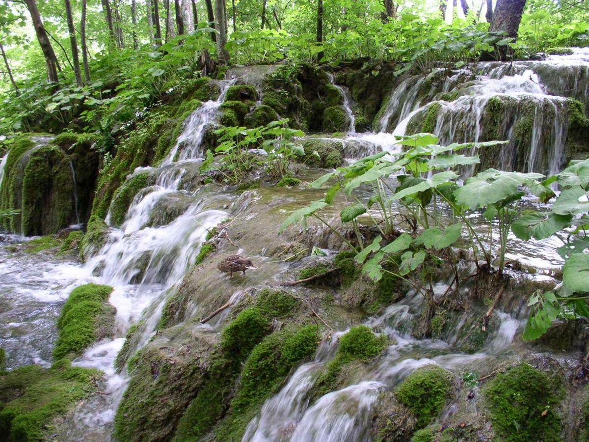 Accommodation Plitvice Korenica Ngoại thất bức ảnh